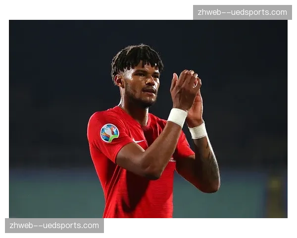 维特斯三中卫体系微调分析：邓弗里斯持球推进职责增加